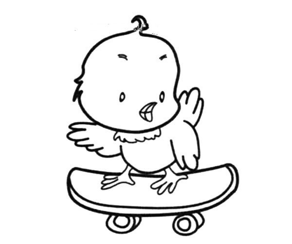 Skateboarding bird