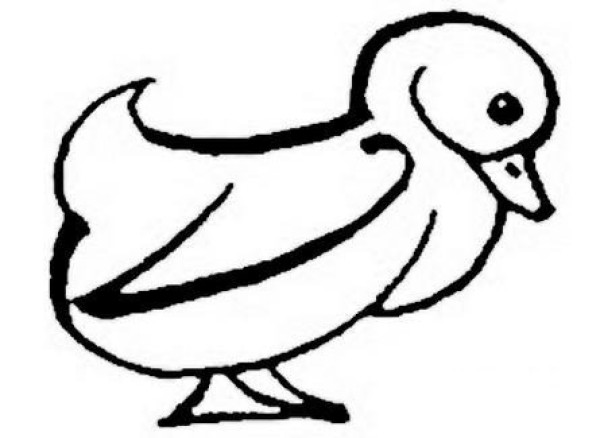 Nice simple drawing pictures of little ducks