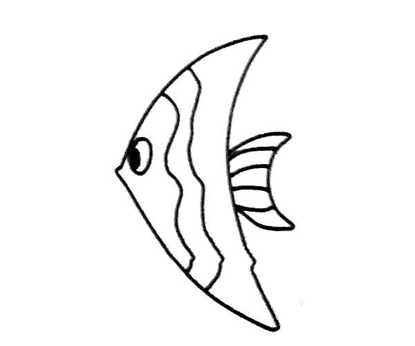 Complete picture collection of simple strokes of angel fish