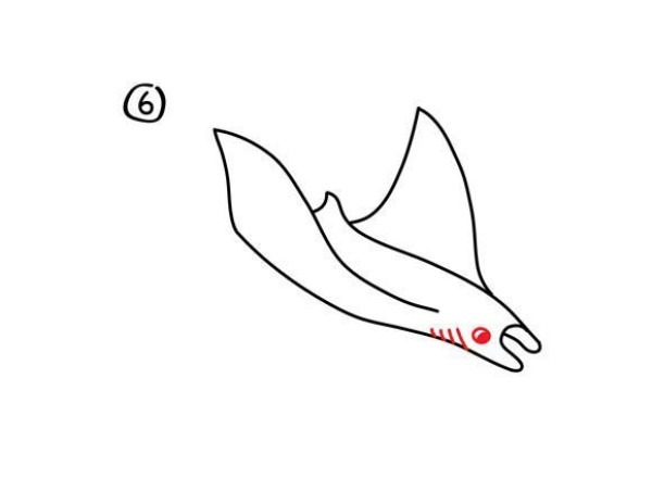 How to draw a manta ray. Steps to draw a manta ray in simple strokes.