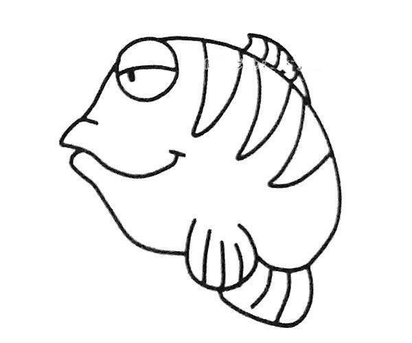 Complete picture collection of simple strokes of angel fish