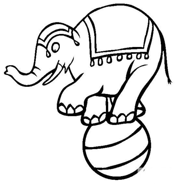 Circus performance elephant performance simple drawing picture