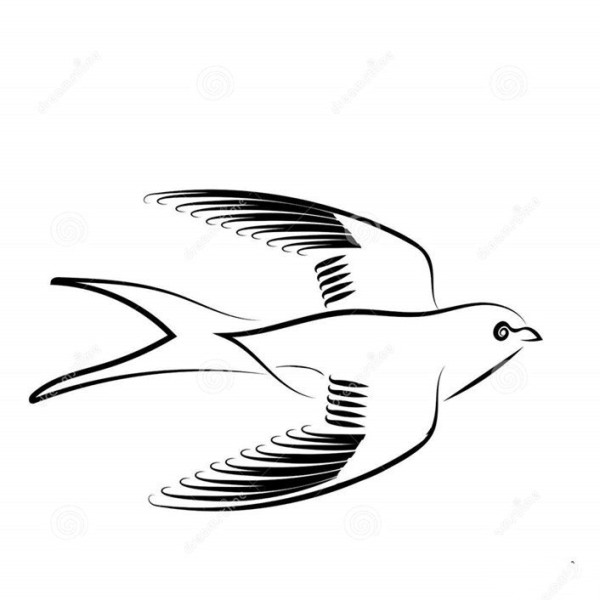 Simple drawing of swallow in flight