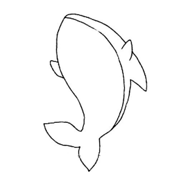 animal drawing shark