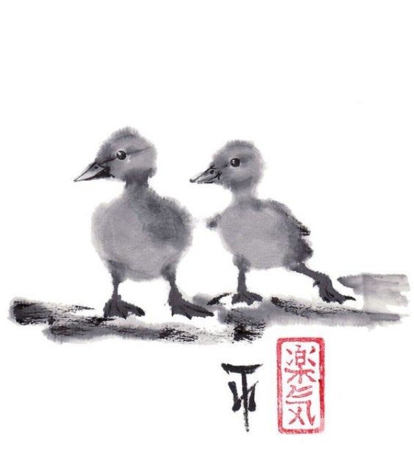 Fluffy little duck animal Chinese painting