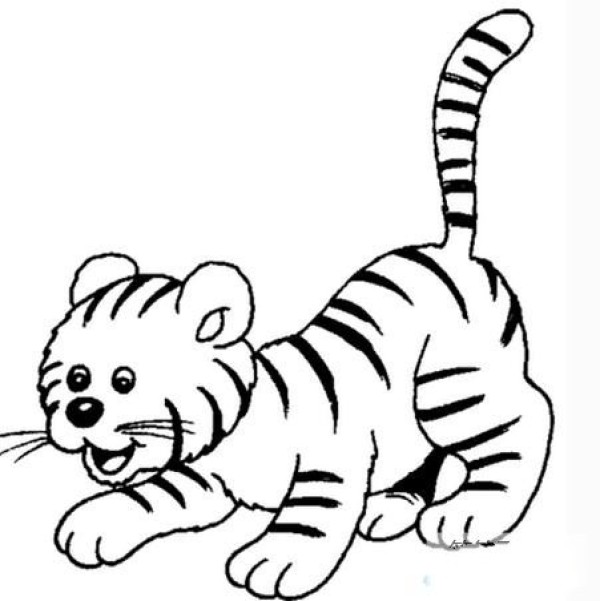 Simple drawings of tigers Appreciation of simple drawings of tigers