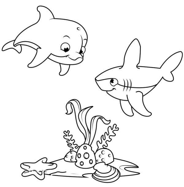 Underwater world simple drawing cute dolphins and sharks