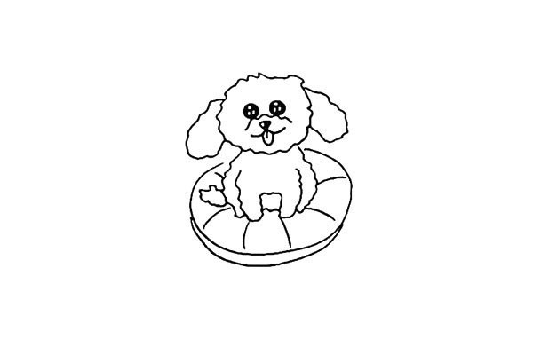 How to draw a teddy dog