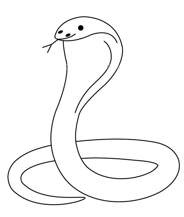 Simple drawing picture of cobra