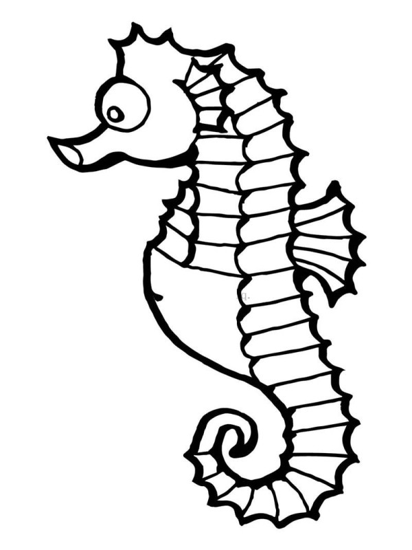 Simple drawing method of cute little seahorse