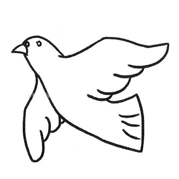 A set of beautiful simple drawings of pigeons