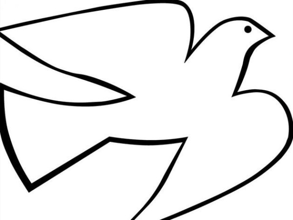 White pigeon simple strokes picture