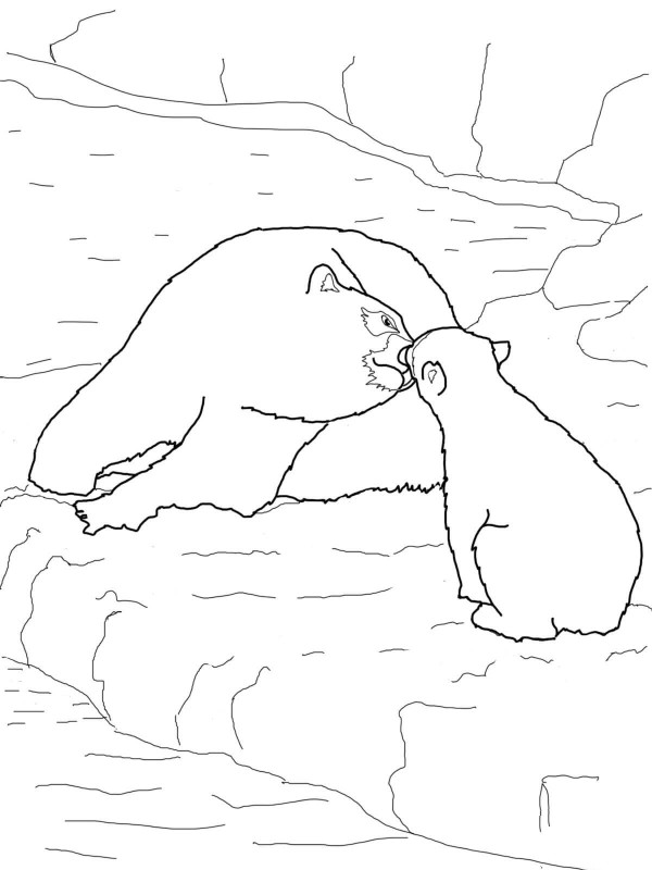 Polar bear baby and mother