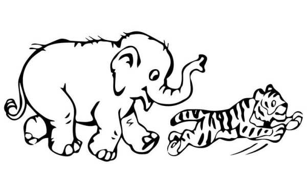 Little tiger playing with little elephant