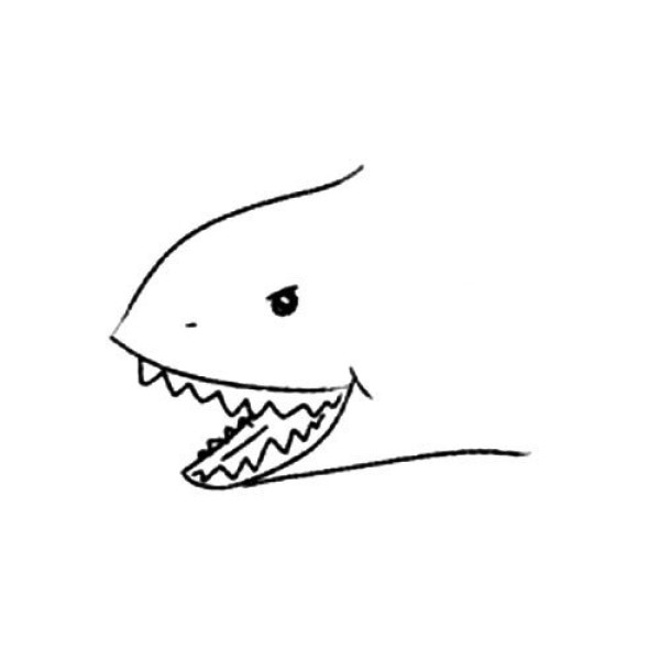 animal drawing shark