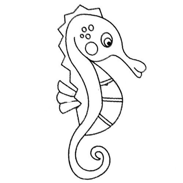 Complete collection of seahorse simple strokes and drawing steps