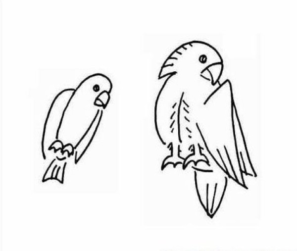 A complete collection of simple strokes of parrots