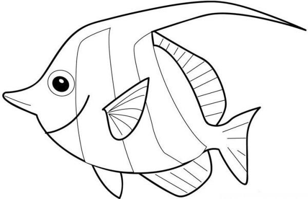 Childrens simple drawings of marine animals Complete collection of simple drawings of marine animals