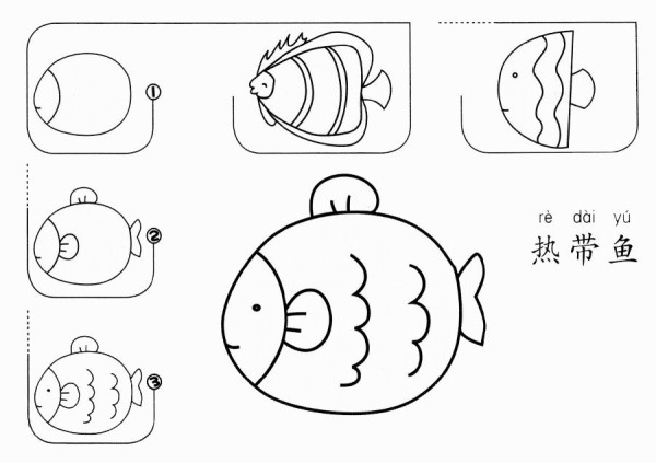 How to draw tropical fish