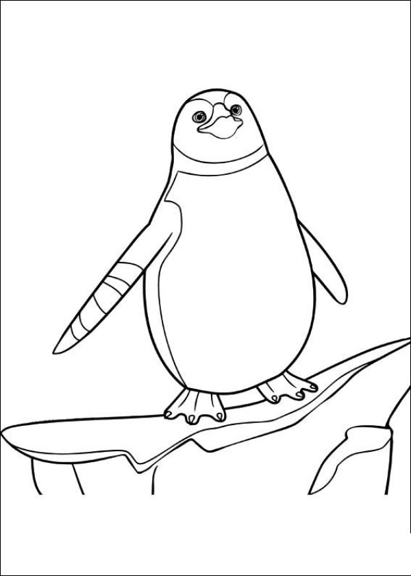 Complete collection of simple animal drawings, simple drawings of penguins