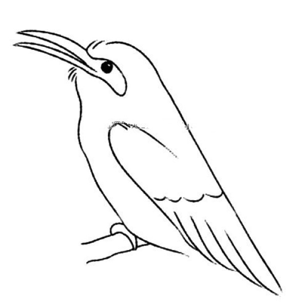 Magpie simple drawing tutorial