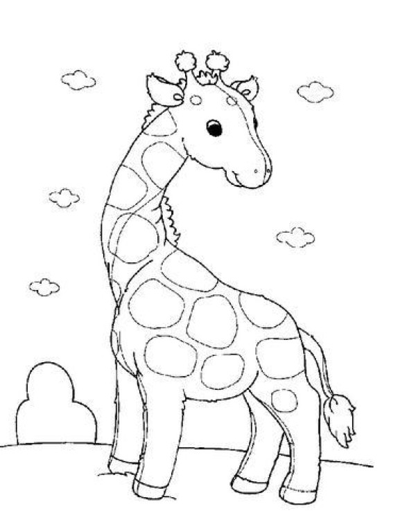 Animal simple drawings Giraffe simple drawings