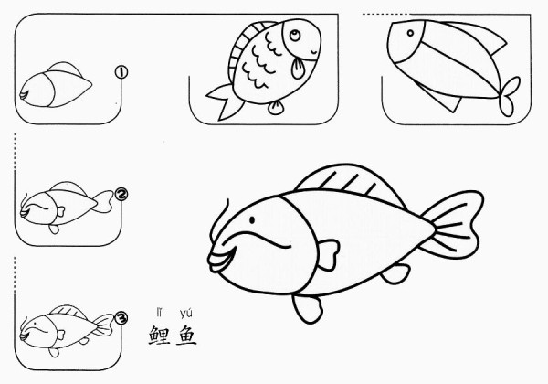 How to draw carp