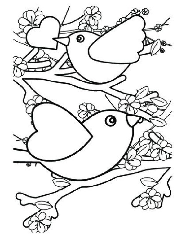 Bird standing on a branch coloring painting