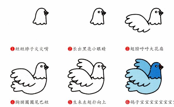 How to draw pigeons in simple strokes