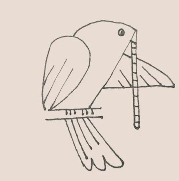 Simple drawing of pigeon