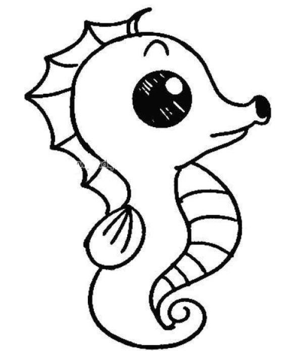 Cartoon seahorse simple drawing picture