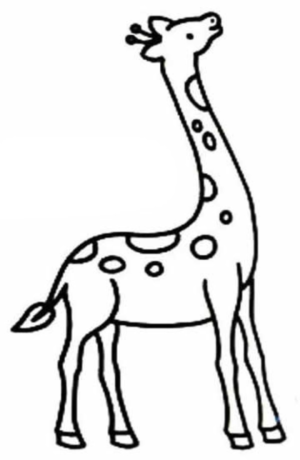 Simple drawing of a giraffe in primary school