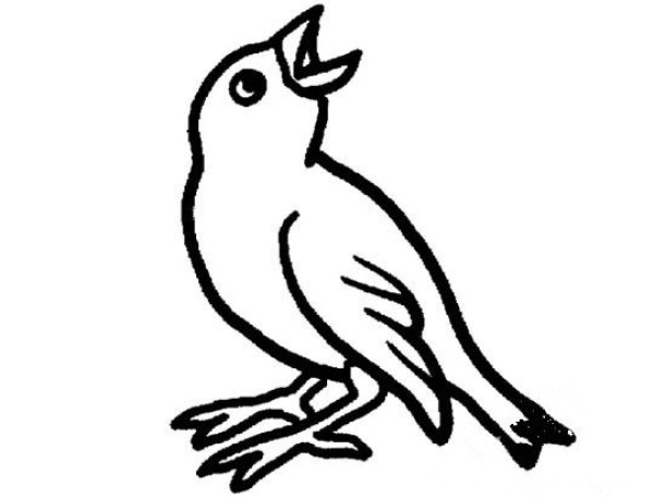 Simple bird drawing