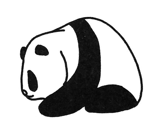 A set of super cute simple drawings of giant pandas