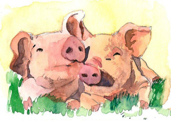 A collection of pictures of watercolor animal sketches of piglets on the farm