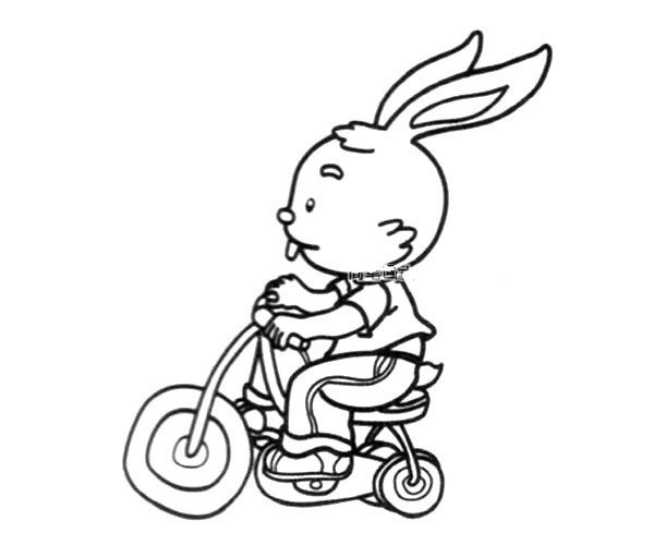 Little rabbit riding a bike