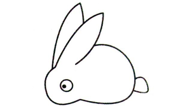 Rabbit simple drawing examples and steps