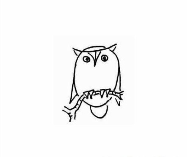 Childrens simple drawing owl