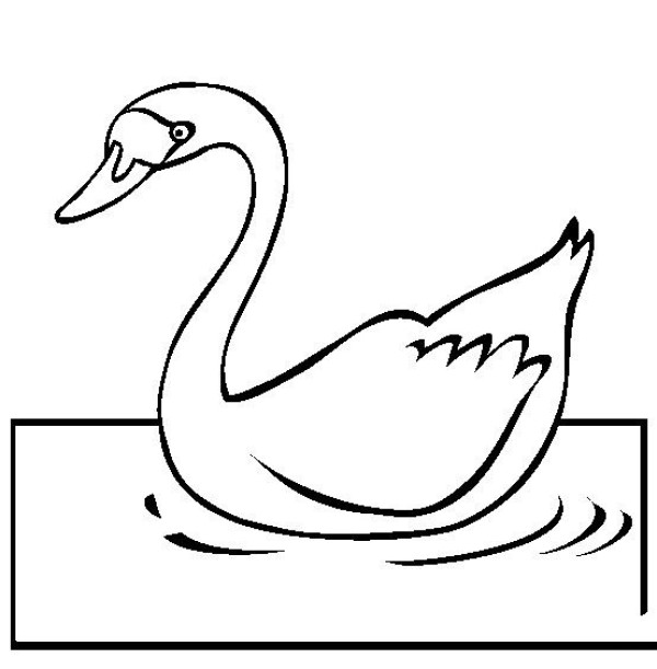 Simple drawing of bird, simple drawing of swan