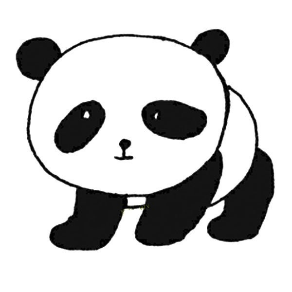 Cute giant panda simple drawing pictures