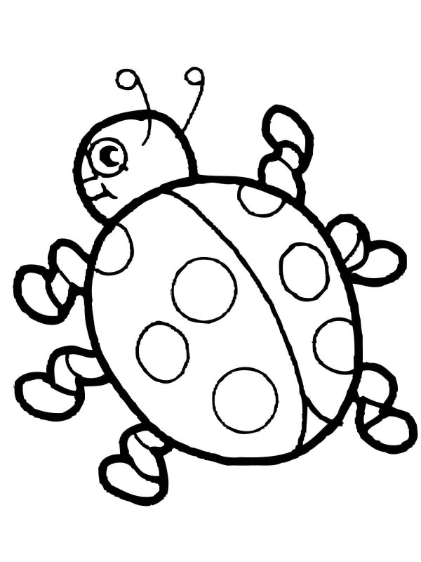 Cute Cartoon Ladybug Simple Drawing Picture