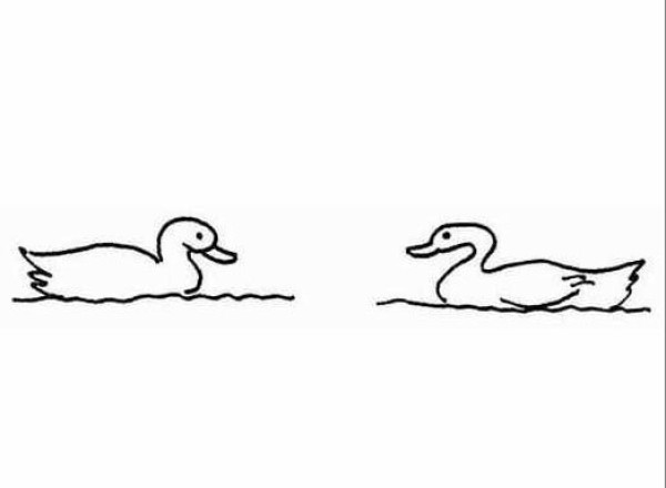 Simple drawing of two ducks