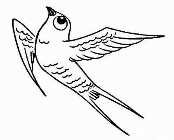 Simple drawings about little swallows