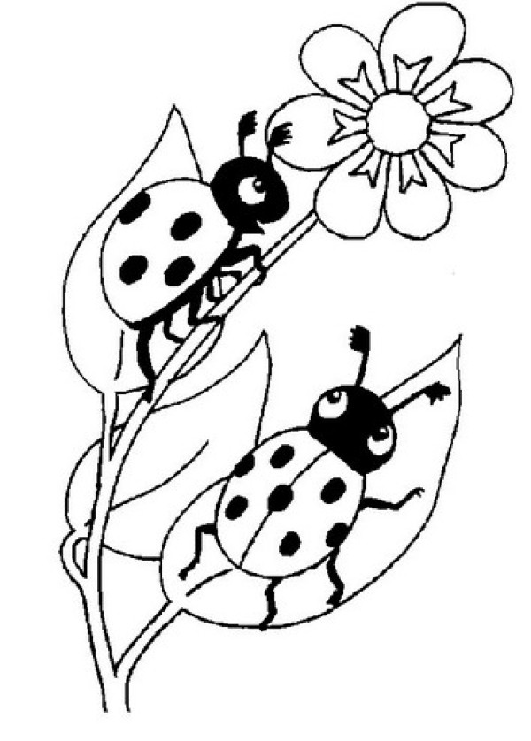 Cartoon seven-star ladybug