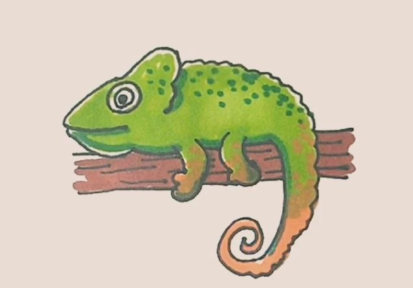 Simple drawing of chameleon