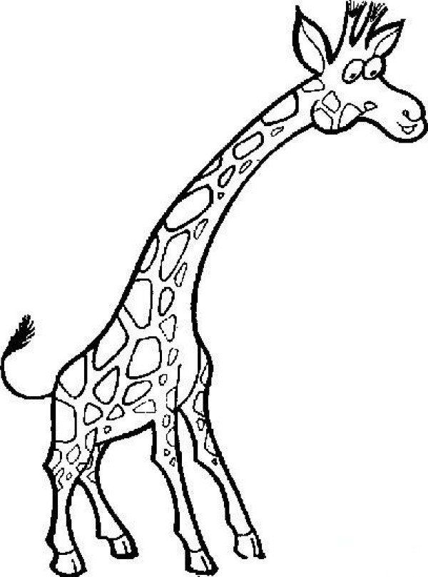 Giraffe cartoon image simple strokes