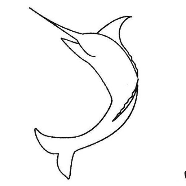 Complete picture collection of swordfish simple strokes and drawing steps