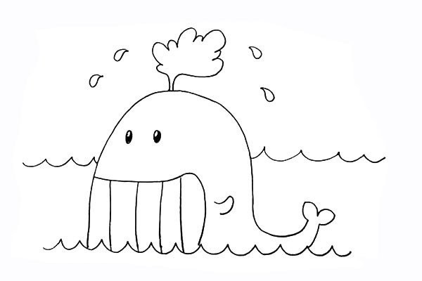 How to draw a whale