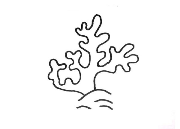 6 simple drawing pictures of marine plants