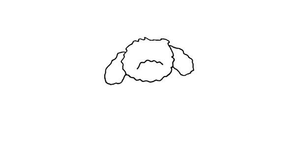 How to draw a teddy dog